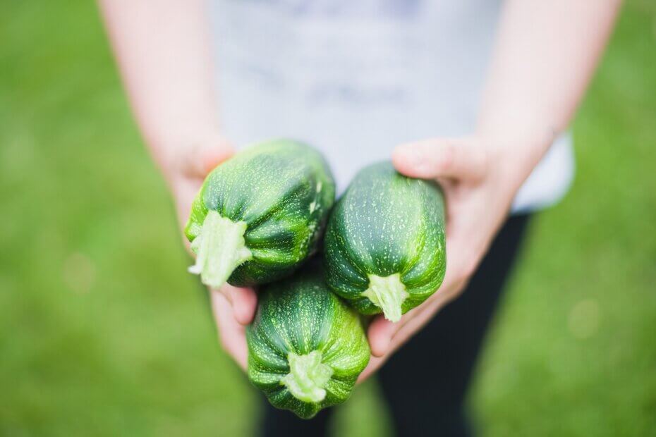 planter des courgettes