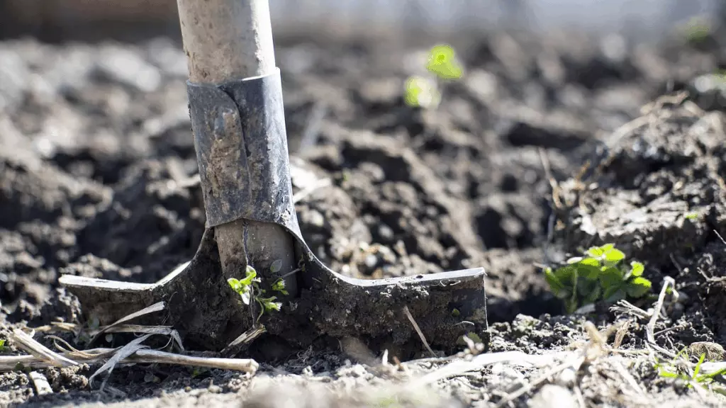 Préparation du potager au mois de mars