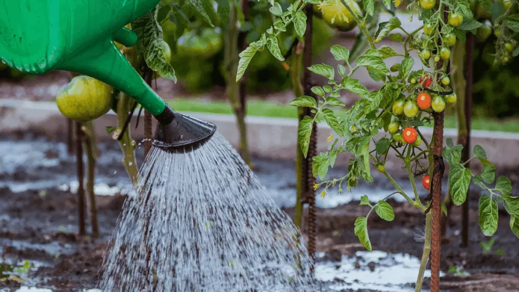 Récupérateur d'eau de pluie