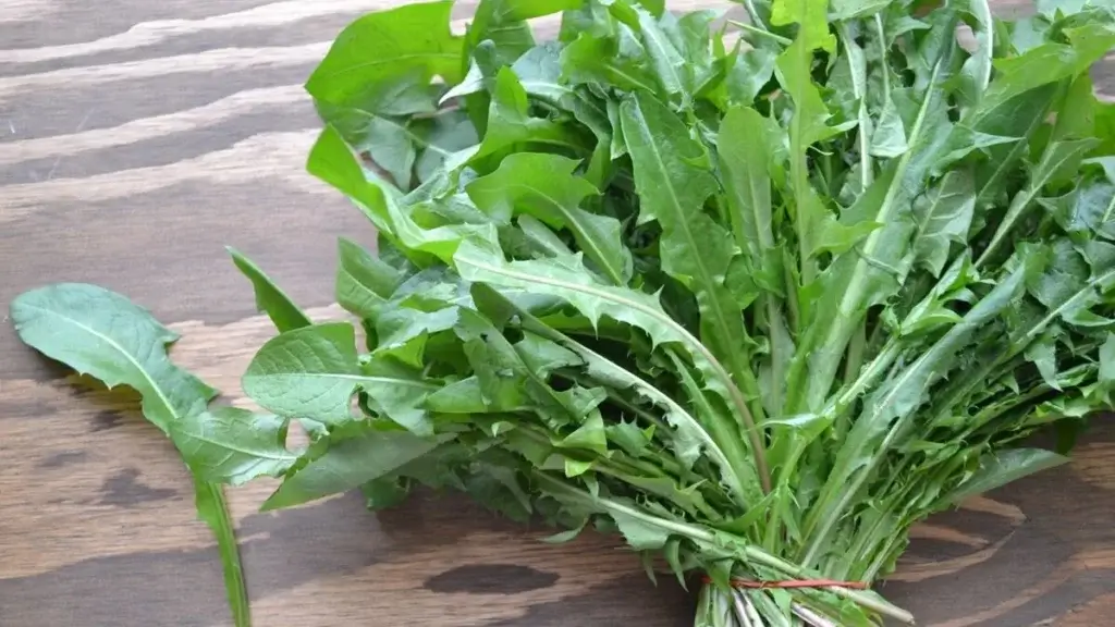 Peut-on faire pousser du pissenlit au potager ?