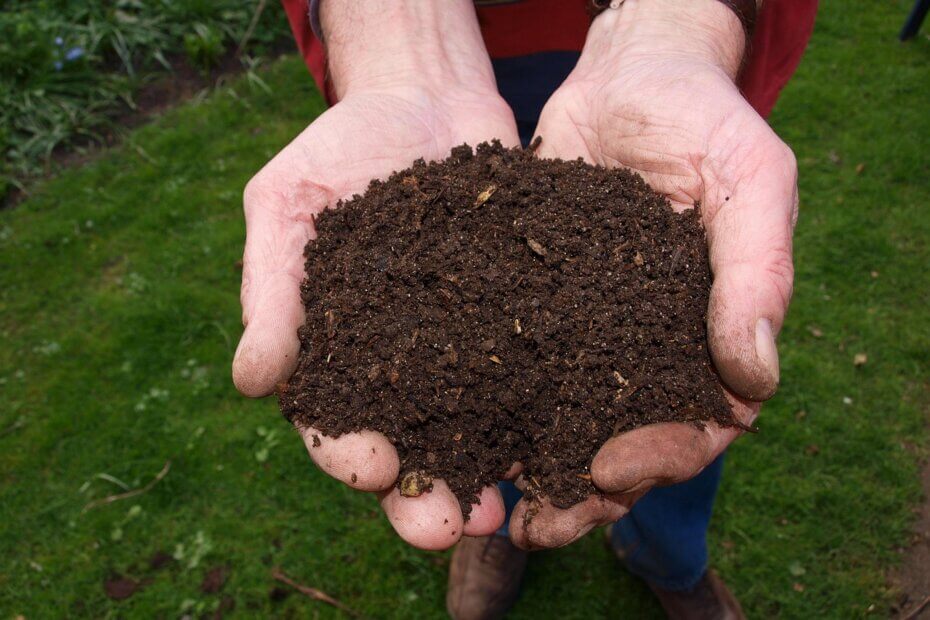 Compost maison