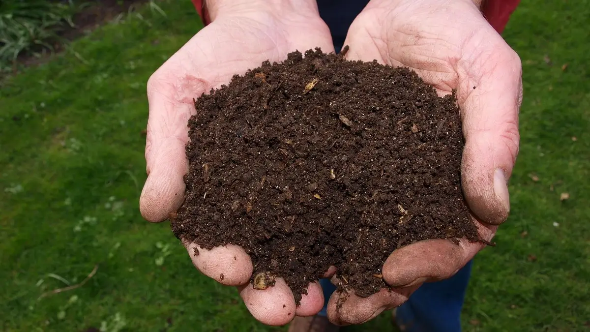 Compost maison